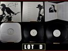 BRUCE SPRINGSTEEN BORN TO RUN  PROMOTIONAL PROMO - VERY RARE *LOT D *