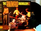 The Animals Lp Animalism NR MINT DISC MONO