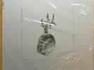 Pixies - Beneath The Eyrie Deluxe Edition Box Set Mint Sealed
