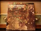 H P Lovecraft - At The Mountains Of Madness Vinyl LP