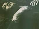 The Smiths-The Queen Is Dead (Vinyl, 1986 Sire, Rare) Near mint condition