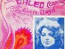 WELSH FOLK-ROCK VINYL 45 ELERI LLWYD MAE BYWYD YN GALED ON CAMBRIAN