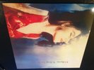 PJ Harvey ?– To Bring You My Love