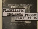 FLAGELLATIO ORGASMUS / X.E. ' SPLIT 7