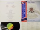 AMII STEWART PARADISE BIRD HANSA VIP-6697 Japan OBI VINYL LP