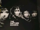 The Rapture Echoes LP Album 2003 1st Ed VGC DFA Record
