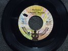 northern soul TIMOTHY WILSON Pigtails BUDDAH 32 M-