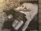 SOCIETY DOG 