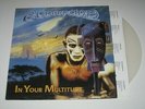 Conception - In Your Multitude (Very Rare Ltd CD Album + Clear Vinyl 12