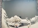 BRAND NEW LIMITED EDITION WEEZER PINKERTON SNOWY MARBLED WHITE VINYL 
