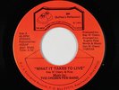 Modern Soul 45 - Chosen Few Band - What It Takes To Live - BR - VG++ mp3