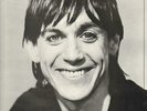 Iggy Pop Lust For Life Virgin Records America. Inc. Vinyl LP