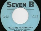 Roger &The Gypsies - Pass The Hatchet - VG++  (Hear It)