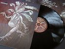 MASTERS HAMMER Vagus Vetus LP NEW emperor cradleoffilth root cultoffire behemoth