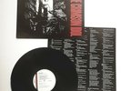 WASP The Crimson Idol Vinyl PCSD 118
