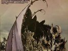 Nazareth  - Hair Of The Dog Lp  Uk First Pressing