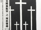 ZSS - Racial... LP (Streicher, Genocide Organ, Deathkey, ...) RARE / lim. 100