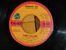 TERRY CALLIER   ORDINARY JOE 7
