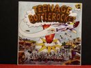 Teenage Bottlerocket/Ergs split 7