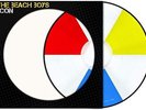 The Beach Boys Icon Exclusive Limited Edition 