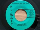 Adam Lee 45 Reaching for the Wine ALMATT VG+ country drinking bopper MP3