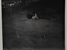 John Zorn - Naked City - Rhino/Elektra - New/Sealed - Bill Frisell