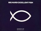 Big Hard Excellent Fish Imperfect List (Rimming Elvis The Andy Weatherall Way) 1