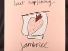BEAT HAPPENING - Jamboree- NM/NM - K Records 1996 - Ultrasonic Clean