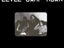 LEVEE CAMP MOAN  Levee Camp Moan reissue rare private press blues rock SOMM058