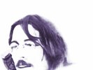 FRANCO FALSINI Cold Nose LP Limited Edition Ristampa 2020 NEW .cp