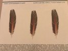 The Appleseed Cast Low Level Owl Volume I & II 3x Vinyl LP Record Rare
