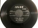 Rare Northern Sweet Soul Jhamels Igloo I’ve Cried/ I’m Not Lying 45 VG++