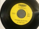 Rare Sweet Soul 45 Ice Cold Love “Wonderful To Be Loved/ Sheer Magic” Tammy Vg++
