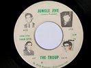 The Troup RTB RECORDS 844 VG ROCK N' ROLL 1967 GROUP FROM INDIANA GARAGE 45