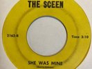 Garage 45 THE BEAUX JENS She Was Mine SOUND OF THE SCEEN Trouble Baby HEAR