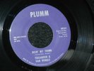 TEEGARDEN & VAN WINKLE Rare Detroit PLUMM 45 DOIN' MY THING Psych SOUL MOD  HEAR
