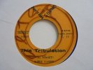 HONEY VAUGHN This Tribulation RHYTHM SOUND Killer   Deep Roots Reggae 7