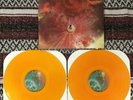 Animals As Leaders The Joy Of Motion Vinyl.