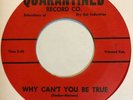 Garage 45 THE PLAGUES Why Can't You Be True QUARANTINED Through This World HEAR
