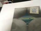 Bruce Cockburn Salt, Sun And Time Sealed ORIG Record lp original vinyl album