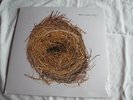 Sealed original Wilco A Ghost is Born Nonesuch 2004 gatefold 180g 2LP perfect