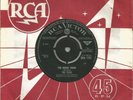 THE FLIES - THE MAGIC TRAIN
