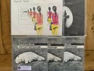 Depeche Mode Dreaming Of Me, New Life, Just Can’t Get Enough UK Singles