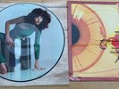 KATE BUSH - The Kick Inside - Rare 1st Press UK Picture Disc LP (Vinyl Record)