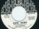 Garage / Psych - The Waphphle ELEKTRA 45616 Goin' down / I want you