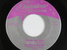 Doo-Wop 45 - Royal Masters - You're The One - Guyden - VG+ mp3