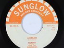 Doo-Wop R&B 45 - Sunny & The Sunglows - A Dream - Sunglow - VG+ mp3