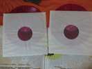 APPLESEED CAST vinyl SAGARMATHA 2 lp red splattered
