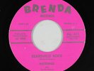 Rockabilly 45 - Nothing & the No Names - Bearsville Rock - Brenda VG++ mp3 rare