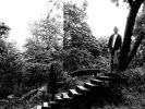 Timber Timbre - Self-Titled - LP Vinyl - New